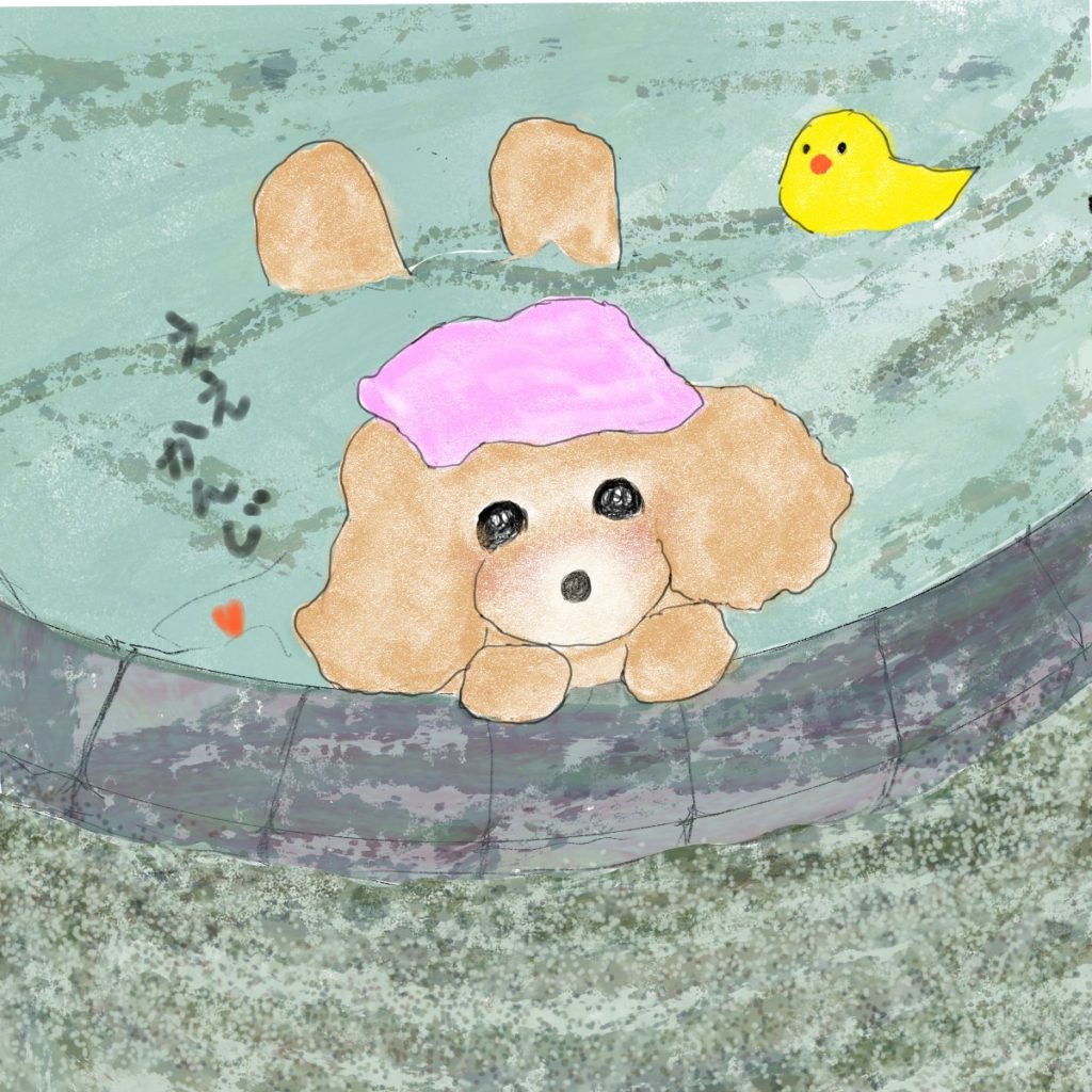温泉行きたい・トイプードル・犬・イラスト