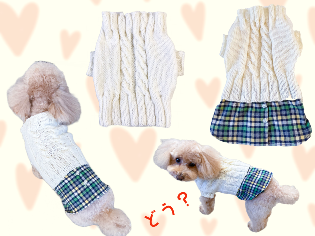 輪で編む・犬のセーター・なわ編み模様