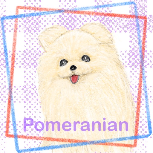 ポメラニアン・犬・アイコン