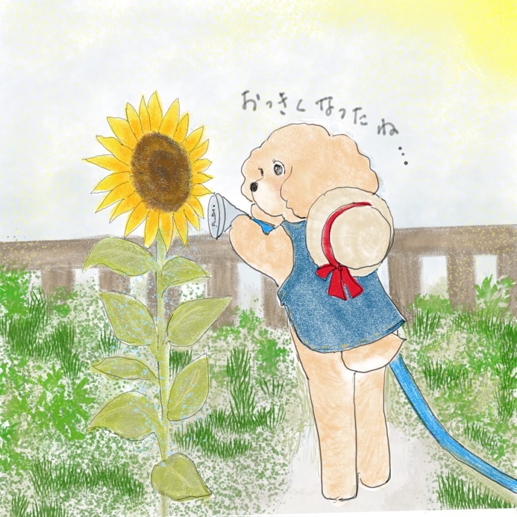 夏の庭・トイプードル・犬・イラスト