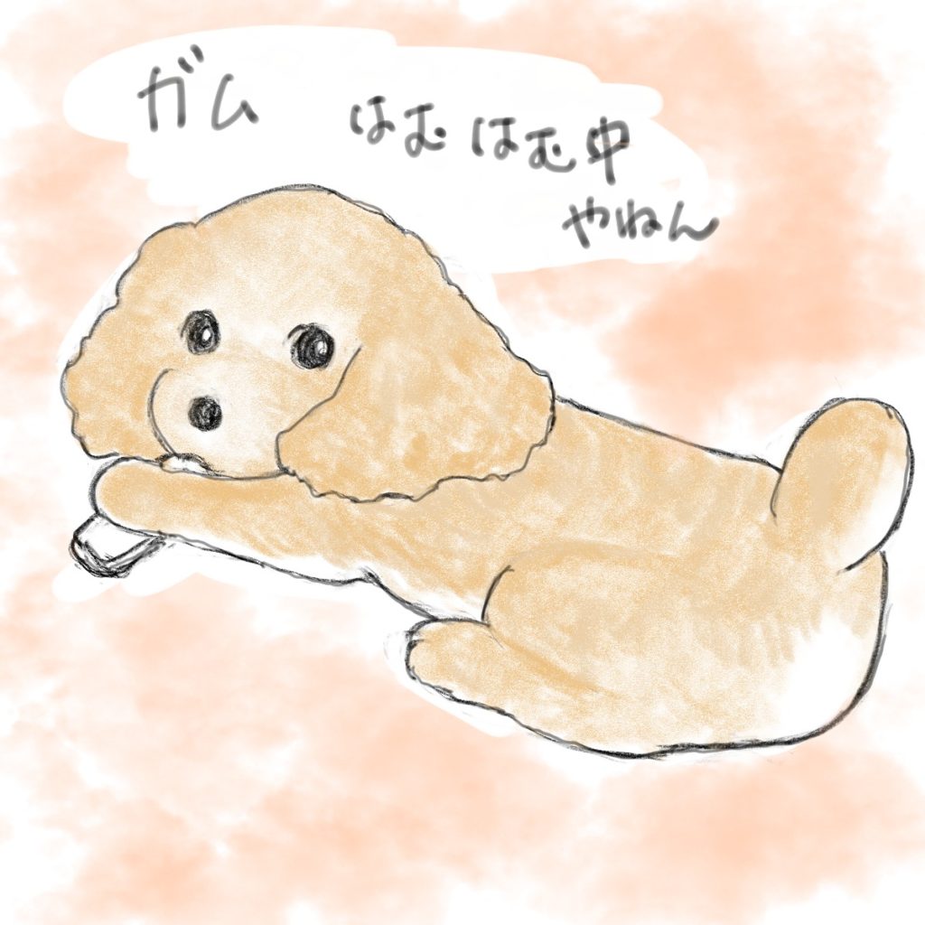 ガムすき・トイプードル・犬・イラスト
